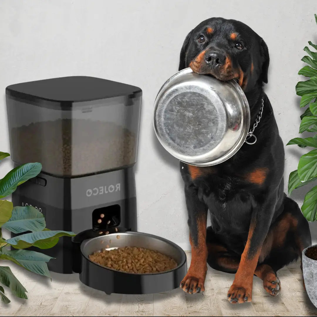 Alimentador automático para pets