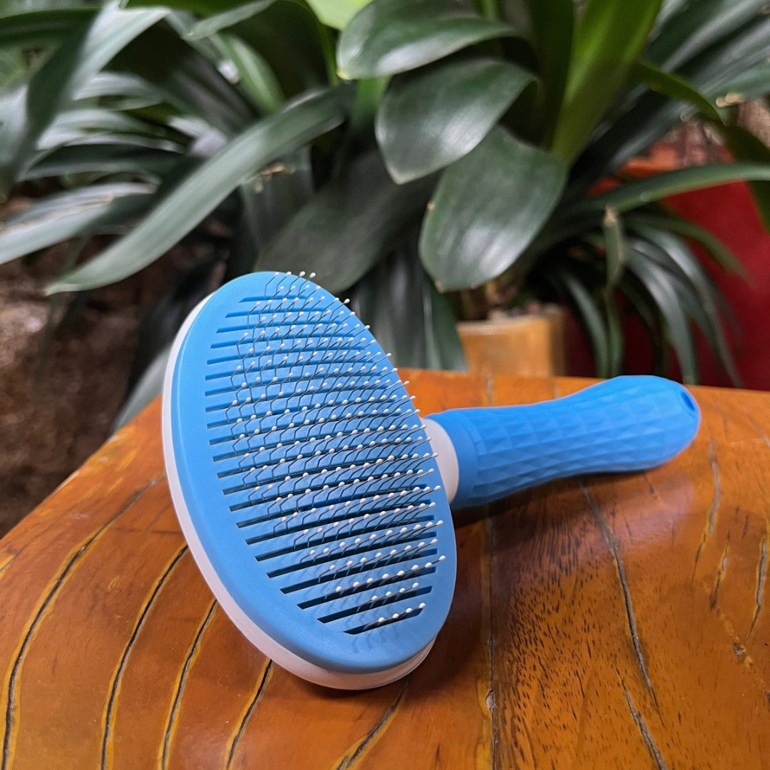 Escova Removedora de pelos
